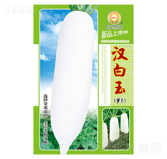 �}���N��-�h����-̫���N�I(y��)