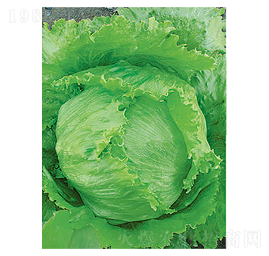 ���˷N��-̫��(l��)�N�I(y��)