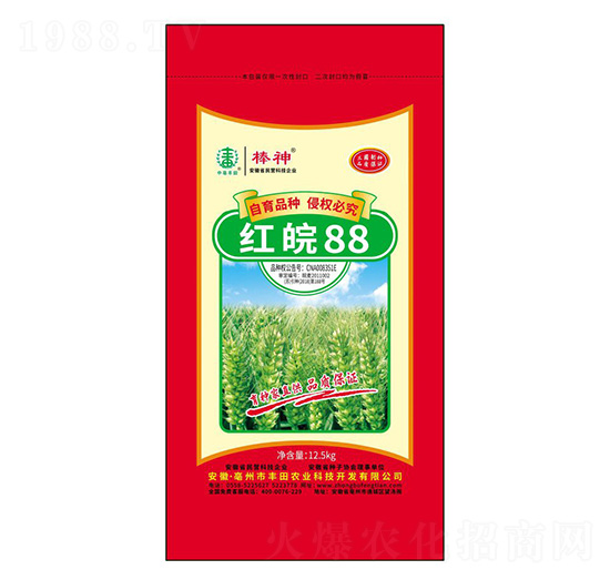 紅皖88小麥種子-棒神-豐田農(nóng)業(yè)