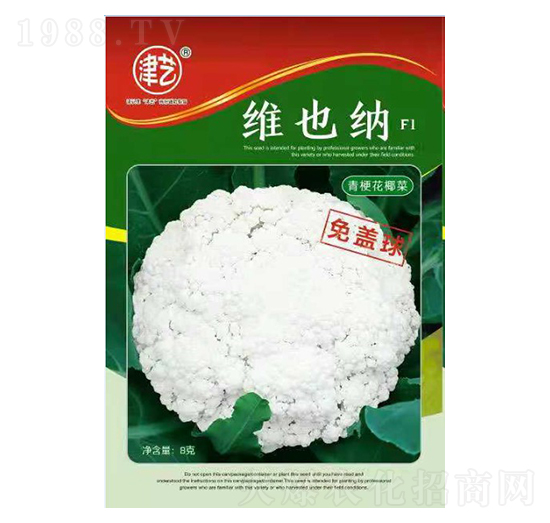 ���˷N��-�SҲ�{-���S�r�I(y��)