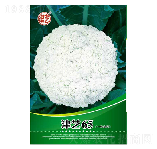 ���˷N��-��ˇ65-���S�r�I(y��)