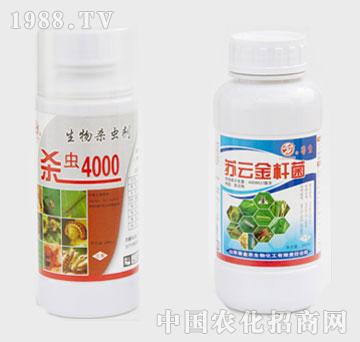 ���r(n��ng)-�K�ƽ�U��