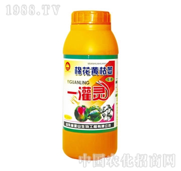 ��ɽ����-�޻��S��ήһ