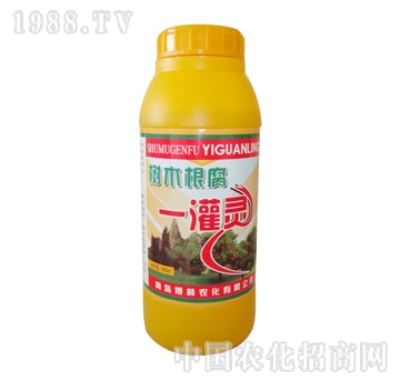 ��ɽ����-��ľ����һ��