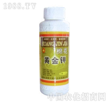 ��ɽ����-�S���