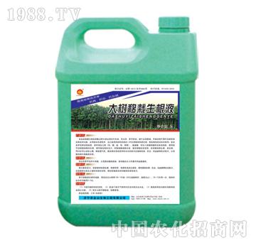 ��ɽ����-�����������