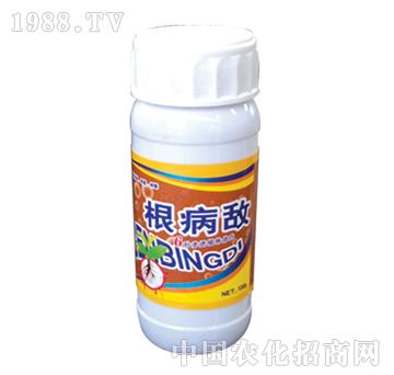 ��ɽ����-������