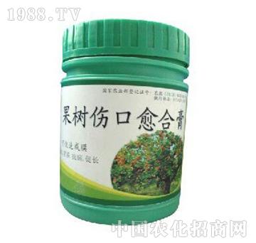 ��ɽ����-�����������