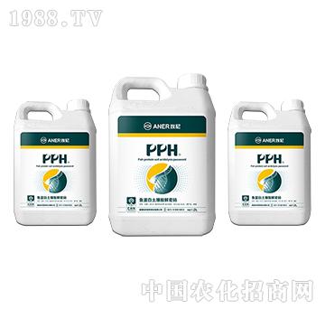 PPH-�~�����������