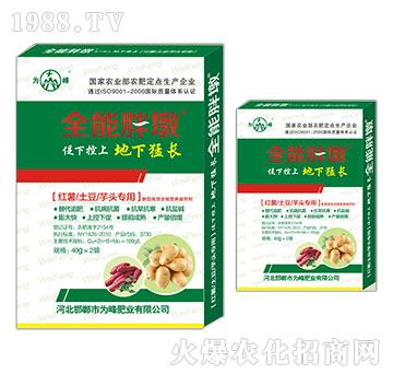 �t�������������^����-