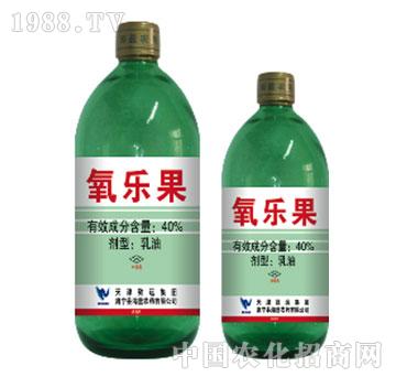 40%������-���{(l��n)