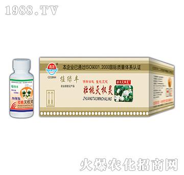 50g���Ҝ���`-�挚�r(n��ng)��