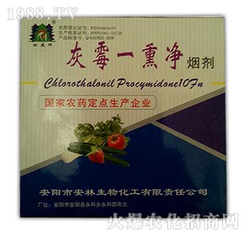 10%��ùһѬ��-����