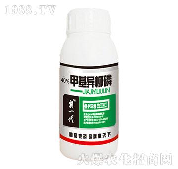 40%�׻�������-�읙����