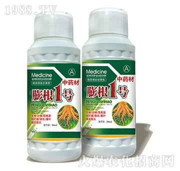 ���1̖-ˎ�Č����~��