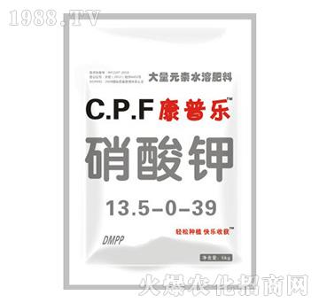 ���՘������13.5-