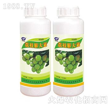 ��֦�����-�r(n��ng)�_(d��)����