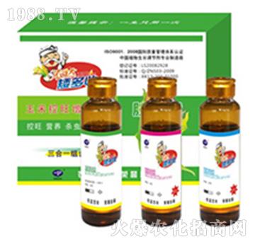 ����3��1-�r(n��ng)�_(d��)����