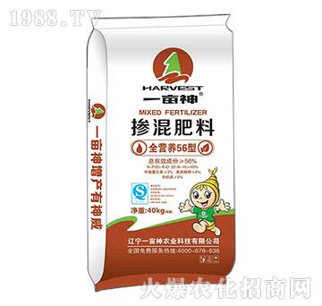 ȫ�I(y��ng)�B(y��ng)56�͓������22-8-10-һ����