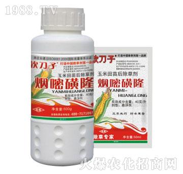 4%���׻�¡-�f(w��n)���t-