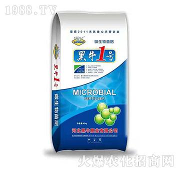 ΢�������-��ţ1̖-