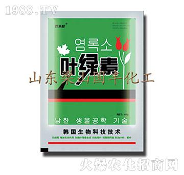 �~�G�أ�����-��ɽ���S