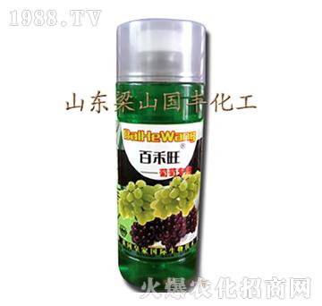 ���ь����~���-��ɽ��