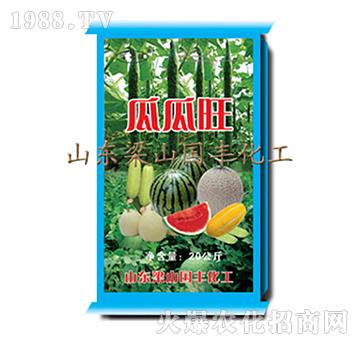 �Ϲ���-��ɽ���S