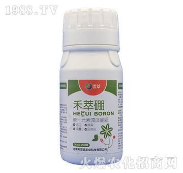 ��һԪ�����w���-������-����