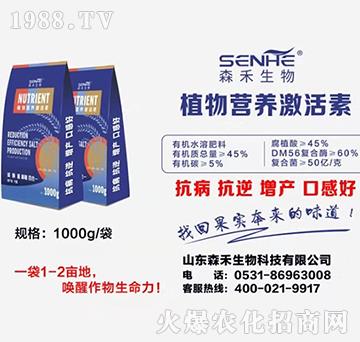 ֲ��I(y��ng)�B(y��ng)������-ɭ������