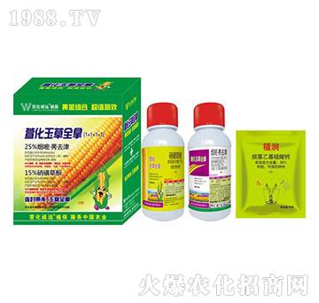 �滯���ȫ�ã�1+1+