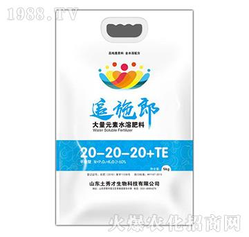 ����Ԫ��ˮ�ܷ���20-20-20+TE-׷ʩ��-�����