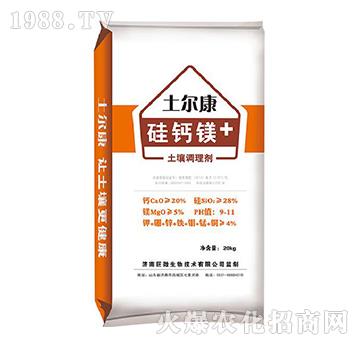 �����{�턩-���}�V-������-�����