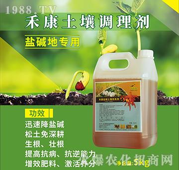 �̿��}�A����������-�w