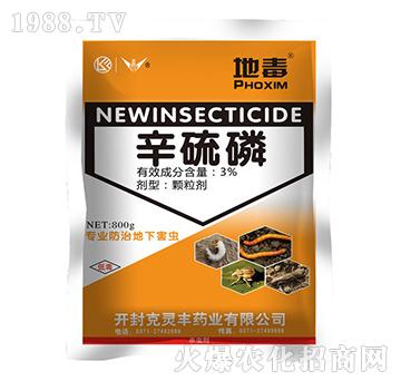 3%������-�ض�-���`�S