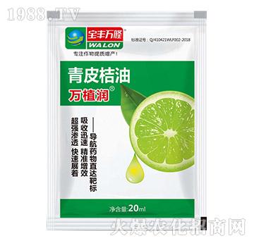 ��Ƥ����-�fֲ��-���S