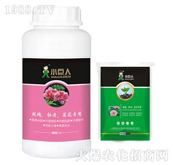 õ����ĵ�����ջ������{(di��o)��(ji��)��-С����