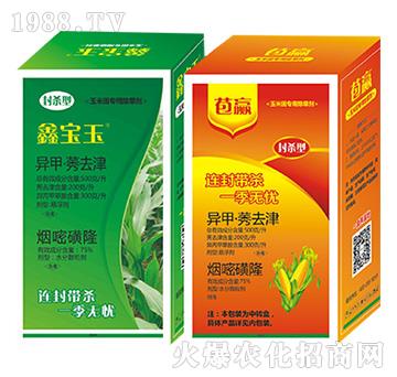 鑫寶玉+苞贏-中新友合