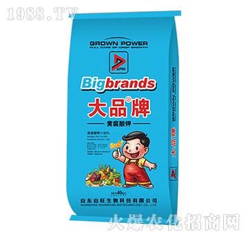 �S����⛴�Ʒ��-ɽ����