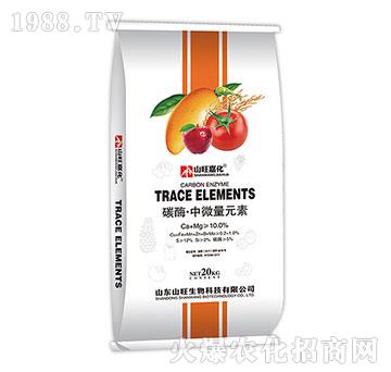 ̼ø����΢��Ԫ��-ɽ��