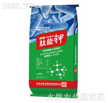 ����ֲ��ˮ�ܷ���-�����-ɽ������