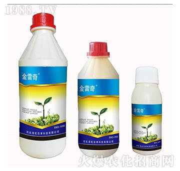 21%�^(gu��)������-������-����ٲ�