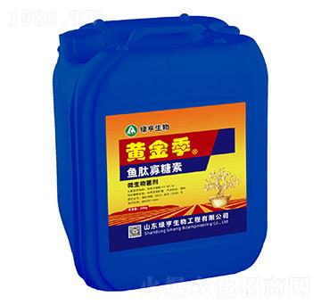 �~�Ĺ�����-�S��-�G������