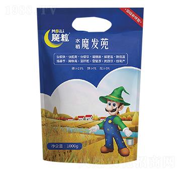 ħ����(ˮ��)-ħ���ʘI(y��)