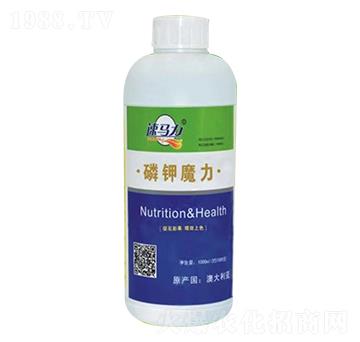 ���ħ��-���R��-�а�