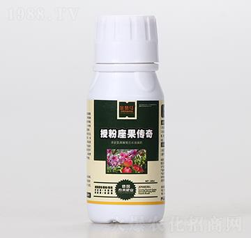 �ڷ��������棨ƿ��-��{�R-̩��(l��i)��(gu��)�H