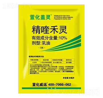 10%��୺��`-�滯�w