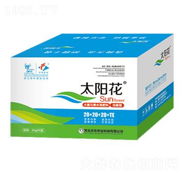 �����ʹ���Ԫ��ˮ�ܷ���20+20+20+TE-̫ꖻ�-�����r(n��ng)�I(y��)