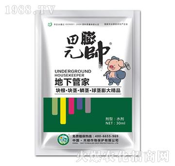 ���¹ܼ�-��T����