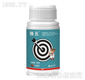 5%���S����-��(qi��ng)��-��ֲ��